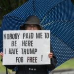 25th amendment process illustration